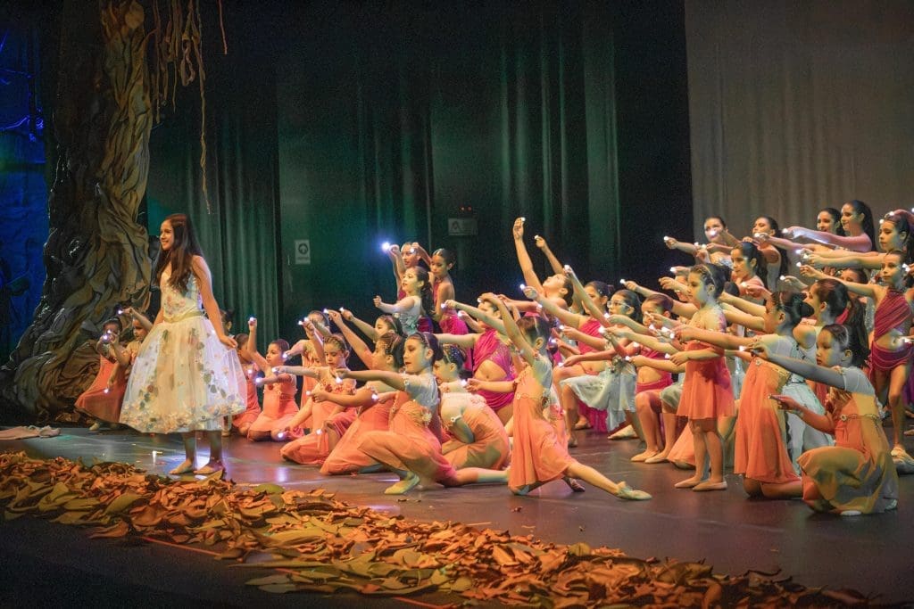 “El Sueño de Violeta”: una gala para celebrar nuestros logros del 2024